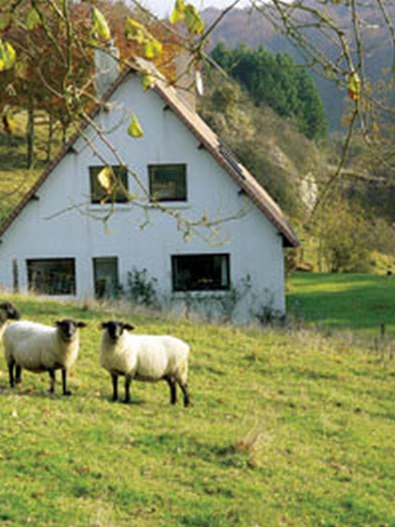 Chambre D'Hotes Les Champarts Tourville-la-Chapelle 외부 사진