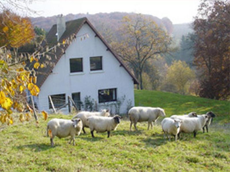Chambre D'Hotes Les Champarts Tourville-la-Chapelle 외부 사진