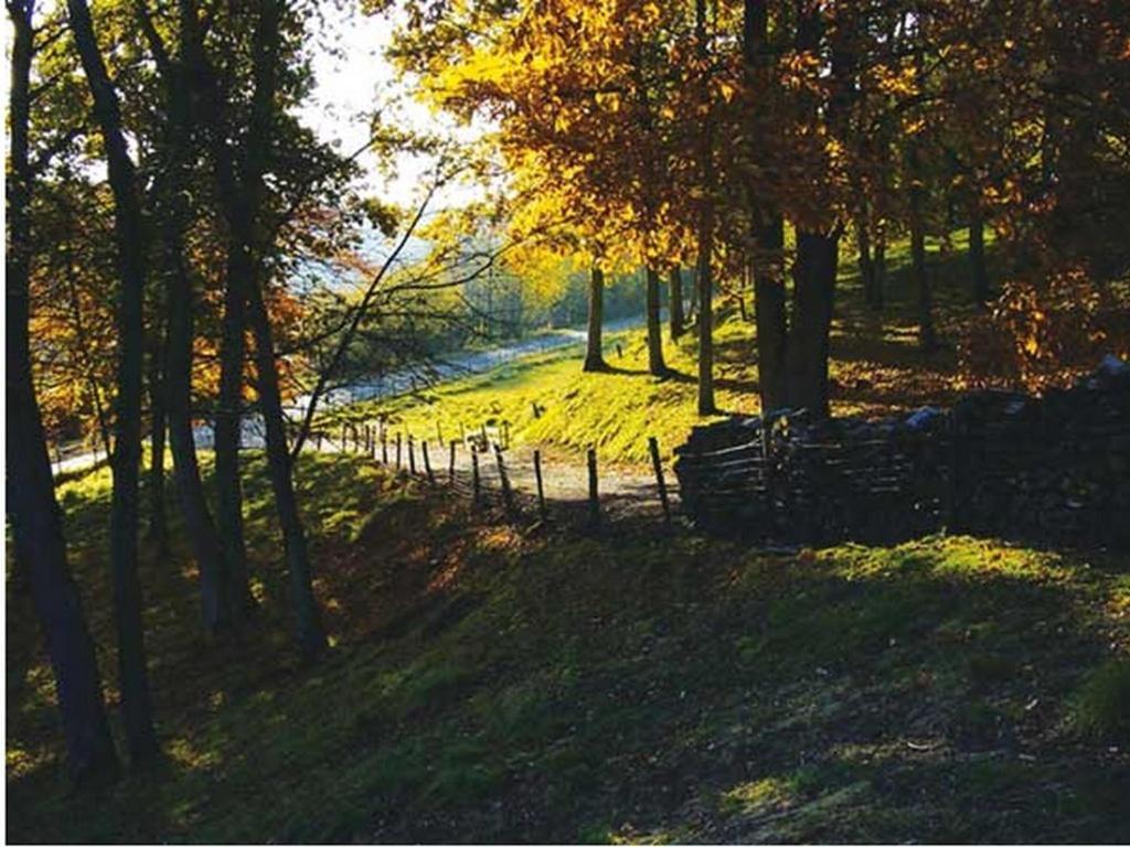 Chambre D'Hotes Les Champarts Tourville-la-Chapelle 외부 사진